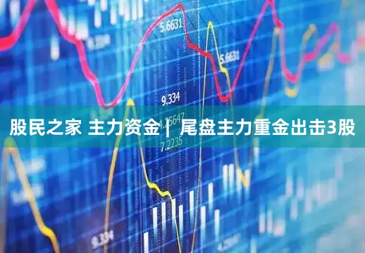 股民之家 主力资金 |  尾盘主力重金出击3股